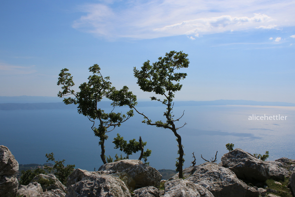 Dalmatische Küste
